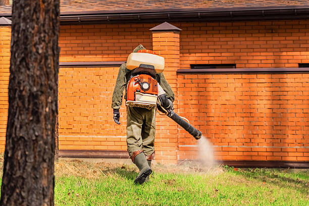 Top rated local Ant Control specialists in Reading, OH